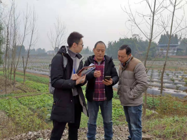 走訪生產(chǎn)基地 推進農(nóng)業(yè)標準化示范項目建設